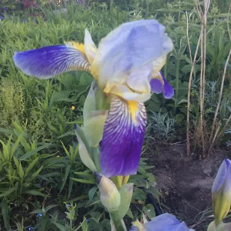 Alojamento de Acomodação e Pequeno-almoço Johannahoeve Veluwe Hall