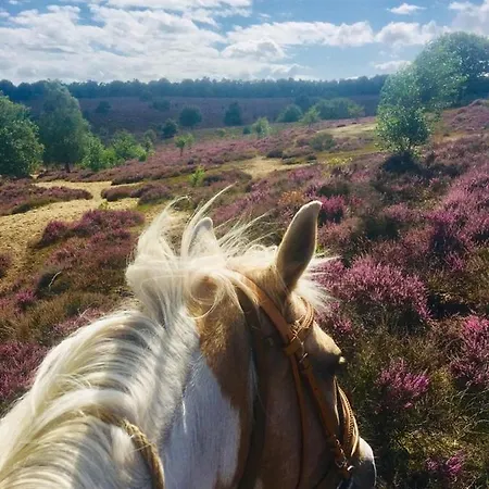 Johannahoeve Veluwe Alojamento de Acomodação e Pequeno-almoço 3*