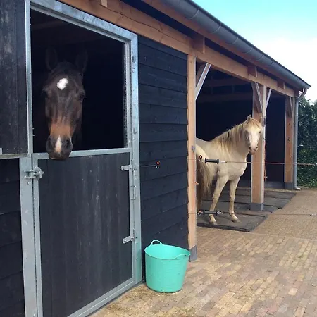 Johannahoeve Veluwe Bed & Breakfast