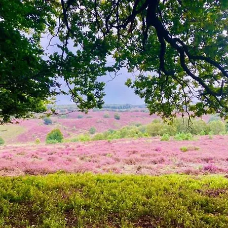 Johannahoeve Veluwe 3*