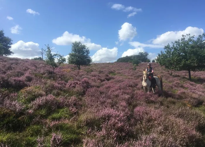Nocleg ze śniadaniem Johannahoeve Veluwe