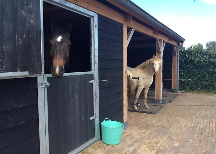Johannahoeve Veluwe Nocleg ze śniadaniem