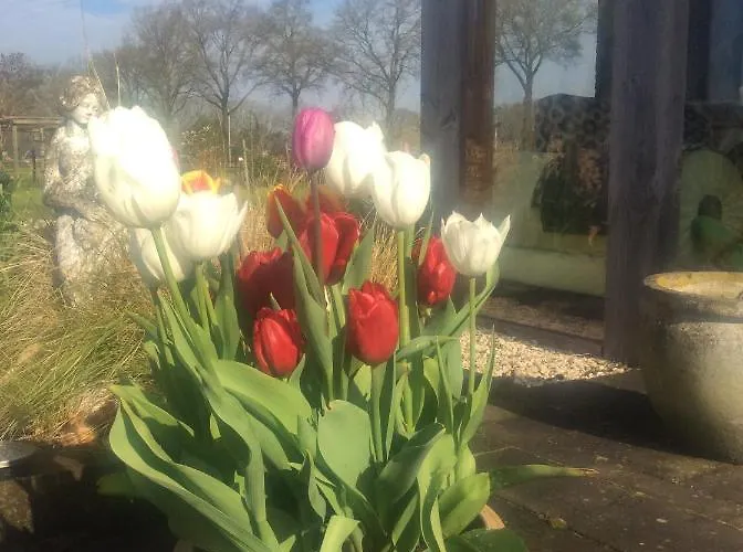 Nocleg ze śniadaniem Johannahoeve Veluwe