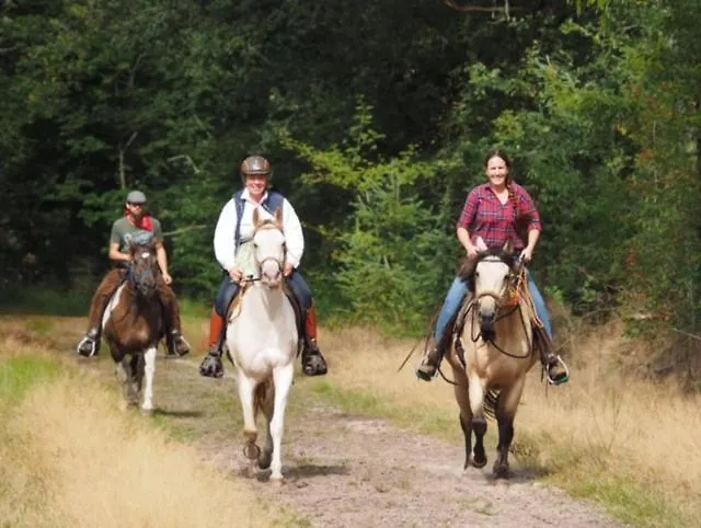 Johannahoeve Veluwe 3* Hall