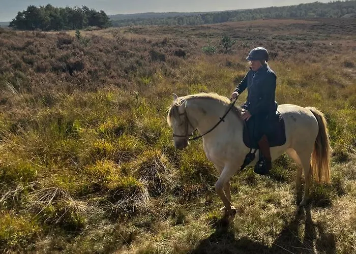 Nocleg ze śniadaniem Johannahoeve Veluwe 3*