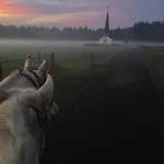 Johannahoeve Veluwe ベッド・アンド・ブレックファスト ハル