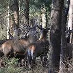 ベッド・アンド・ブレックファスト Johannahoeve Veluwe