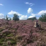ベッド・アンド・ブレックファスト Johannahoeve Veluwe