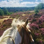 Johannahoeve Veluwe ベッド・アンド・ブレックファスト 3*