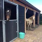 Johannahoeve Veluwe ベッド・アンド・ブレックファスト