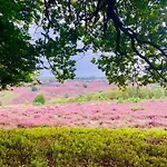 Johannahoeve Veluwe 3*