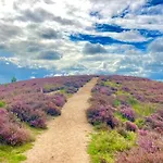 Johannahoeve Veluwe ベッド・アンド・ブレックファスト ハル