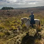 ベッド・アンド・ブレックファスト Johannahoeve Veluwe 3*