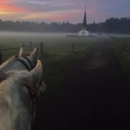 Johannahoeve Veluwe Bed & Breakfast Hall