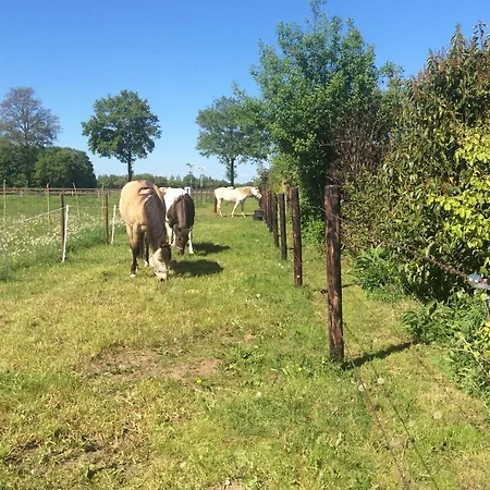 Johannahoeve Veluwe