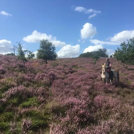 Bed & Breakfast Johannahoeve Veluwe