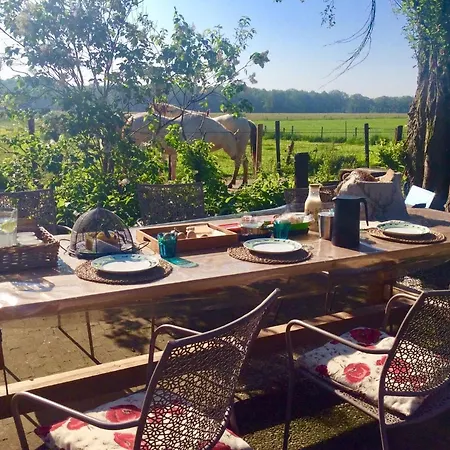 Johannahoeve Veluwe Couette-café Hall