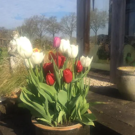 Bed & Breakfast Johannahoeve Veluwe