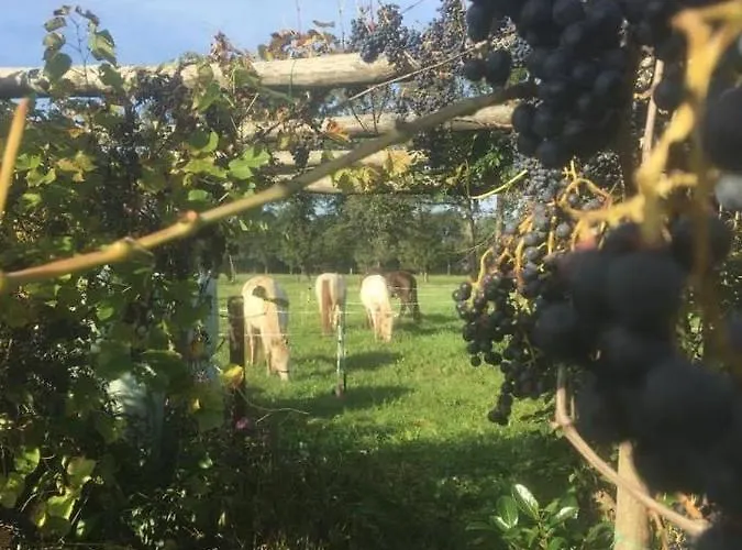 Johannahoeve Veluwe 3* Hall