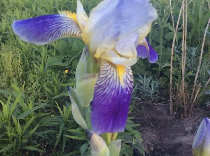 Couette-café Johannahoeve Veluwe Hall